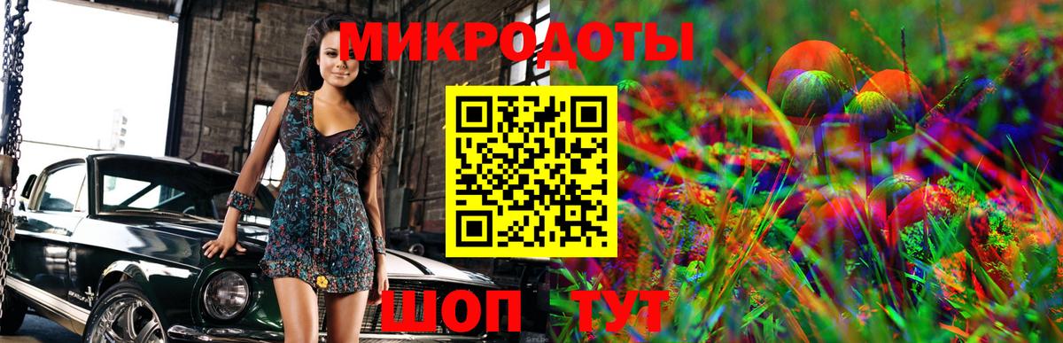 Галлюциногенные грибы Psilocybe Кудрово